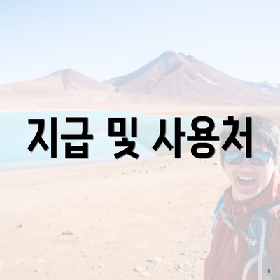 지급 및 사용처