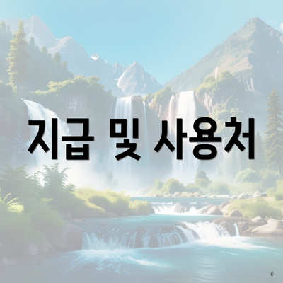 지급 및 사용처