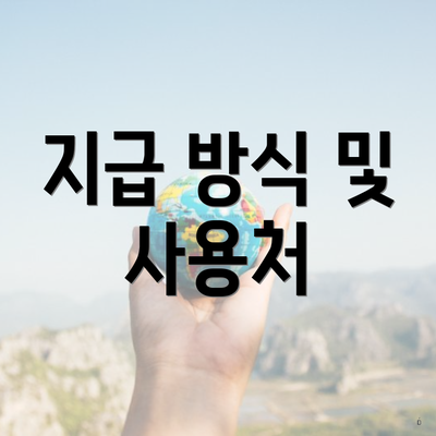 지급 방식 및 사용처