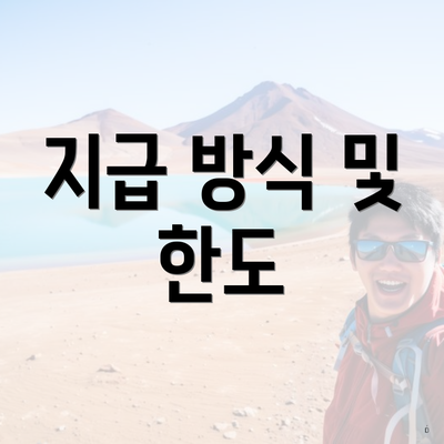 지급 방식 및 한도