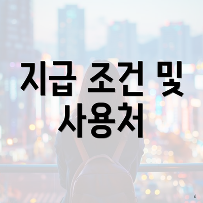 지급 조건 및 사용처