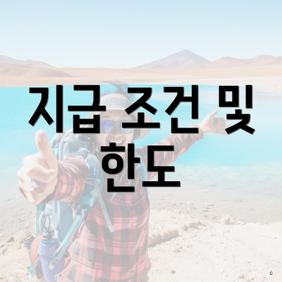 지급 조건 및 한도