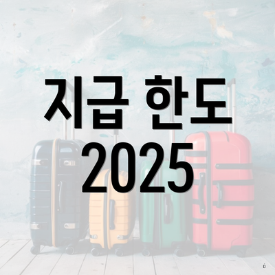 지급 한도 2025