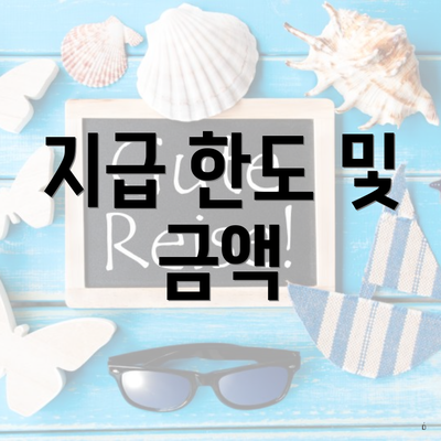 지급 한도 및 금액