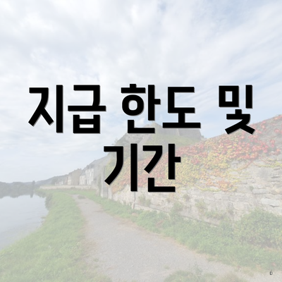 지급 한도 및 기간