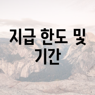 지급 한도 및 기간