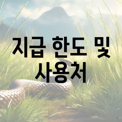 지급 한도 및 사용처