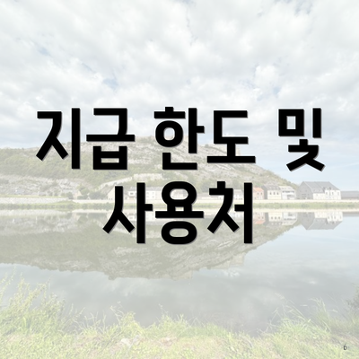 지급 한도 및 사용처
