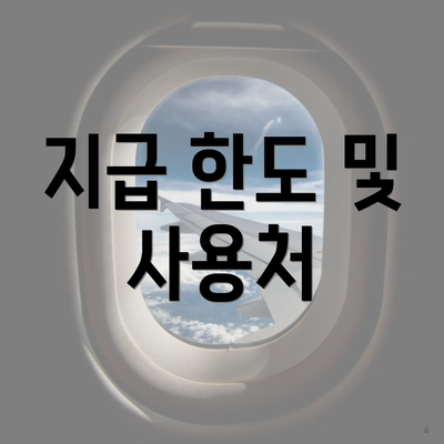 지급 한도 및 사용처
