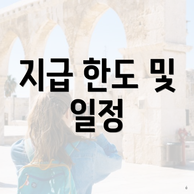 지급 한도 및 일정