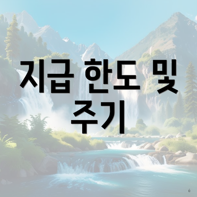 지급 한도 및 주기