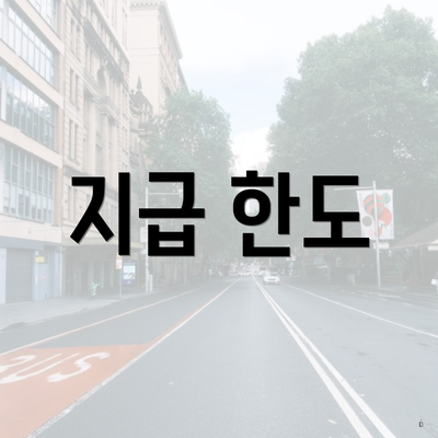 지급 한도