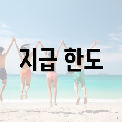지급 한도