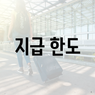 지급 한도
