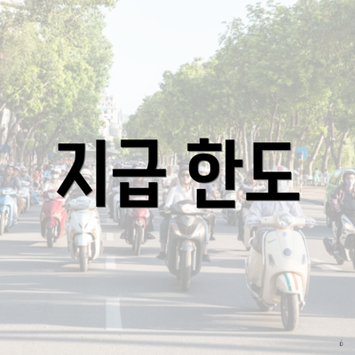 지급 한도