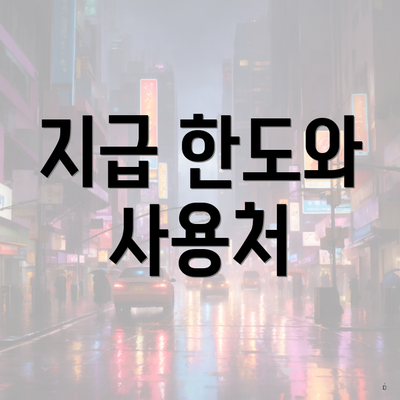 지급 한도와 사용처