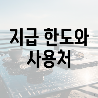 지급 한도와 사용처