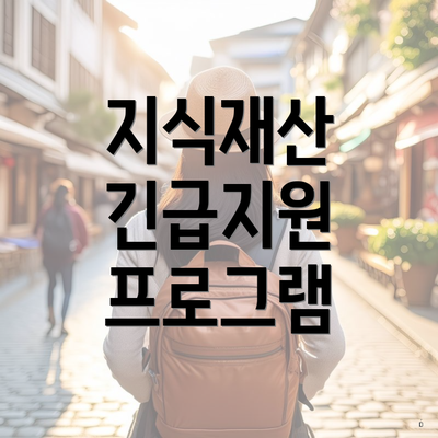 지식재산 긴급지원 프로그램