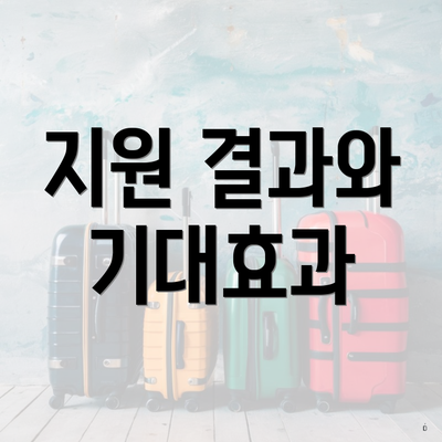 지원 결과와 기대효과