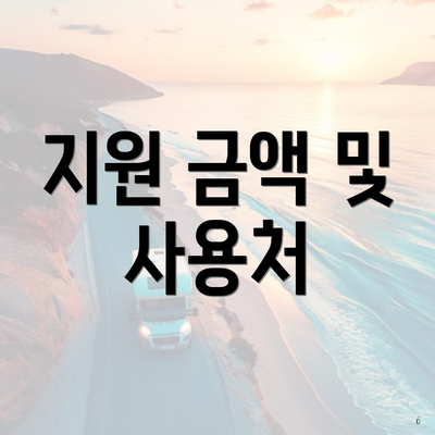 지원 금액 및 사용처