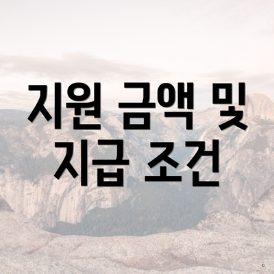 지원 금액 및 지급 조건