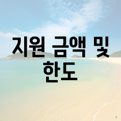 지원 금액 및 한도