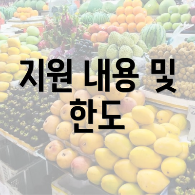 지원 내용 및 한도