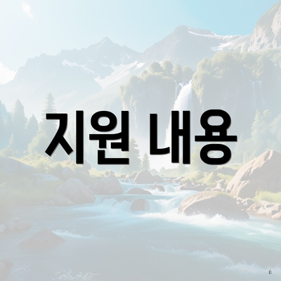 지원 내용