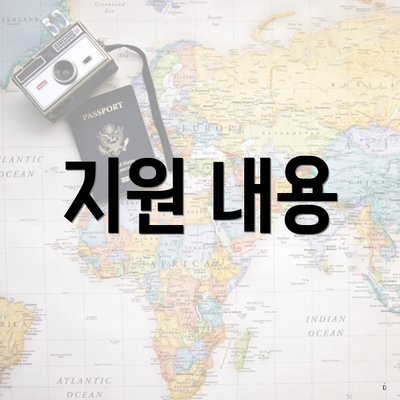 지원 내용