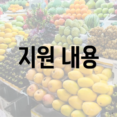 지원 내용