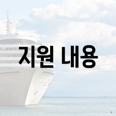 지원 내용