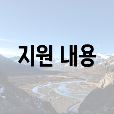 지원 내용