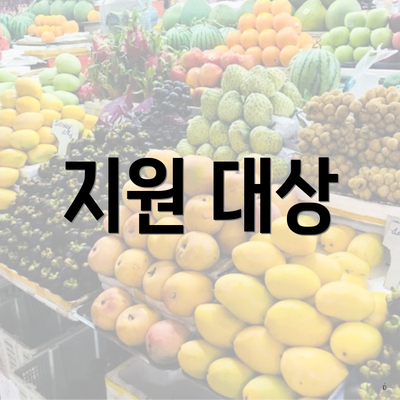 지원 대상