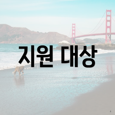 지원 대상