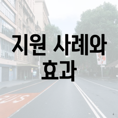 지원 사례와 효과