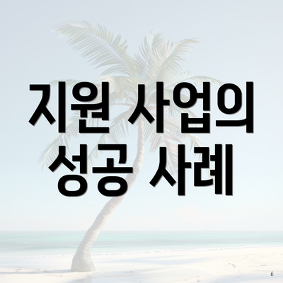 지원 사업의 성공 사례
