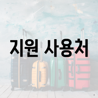 지원 사용처