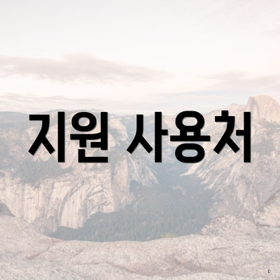 지원 사용처