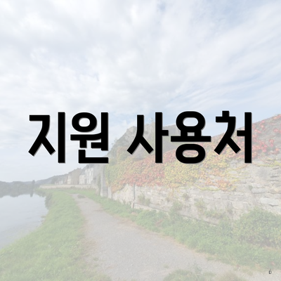 지원 사용처