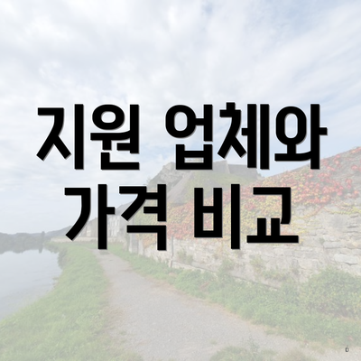 지원 업체와 가격 비교