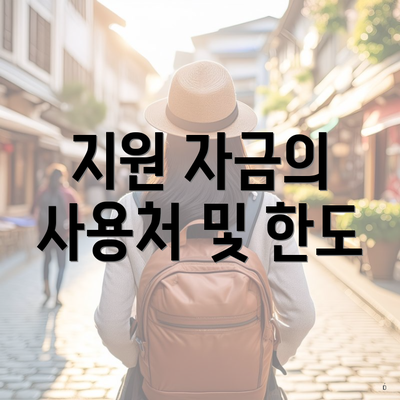 지원 자금의 사용처 및 한도