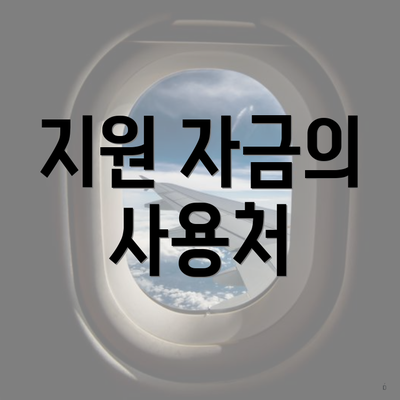 지원 자금의 사용처