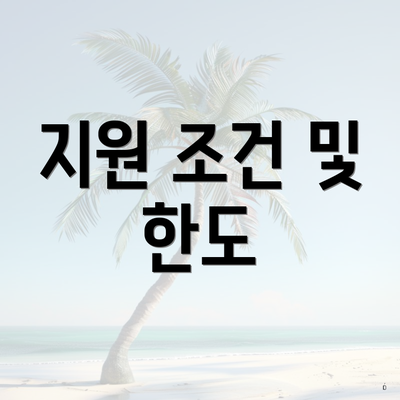 지원 조건 및 한도