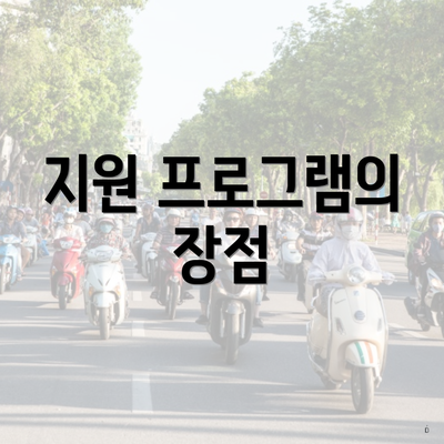지원 프로그램의 장점