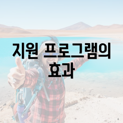 지원 프로그램의 효과