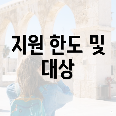 지원 한도 및 대상