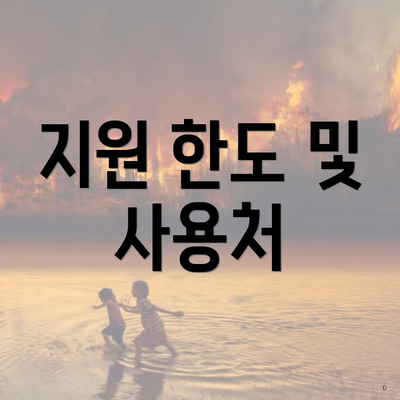 지원 한도 및 사용처