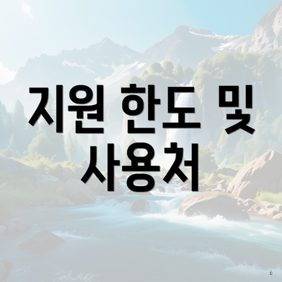지원 한도 및 사용처