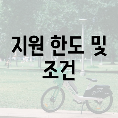 지원 한도 및 조건