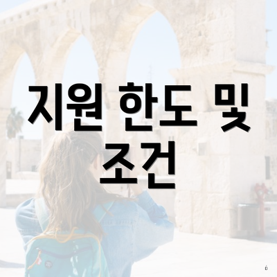 지원 한도 및 조건